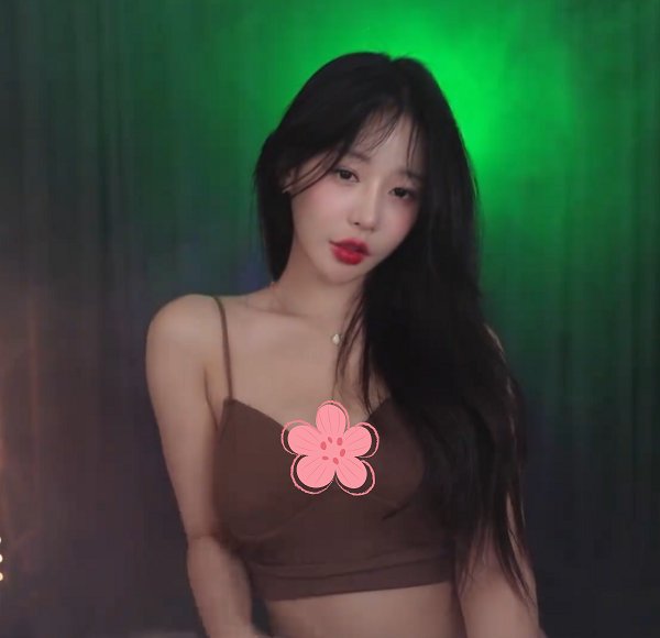 【舞蹈视频合集】韩国美女舞蹈老师舞蹈教程合集(1G+)-zb博客