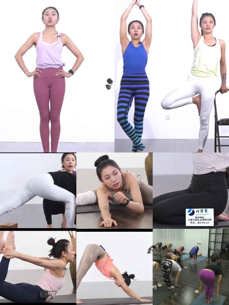 美女瑜伽从初级到高级(100节课)【21.8GB】-zb博客