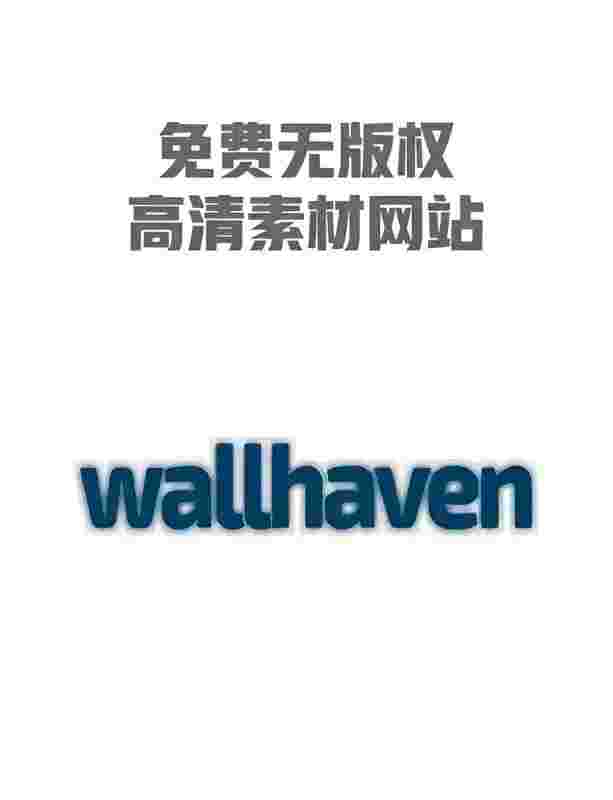 Wallhaven_V6.6.6/7.7.7 地表最强壁纸软件,内附最新可用密钥-zb博客
