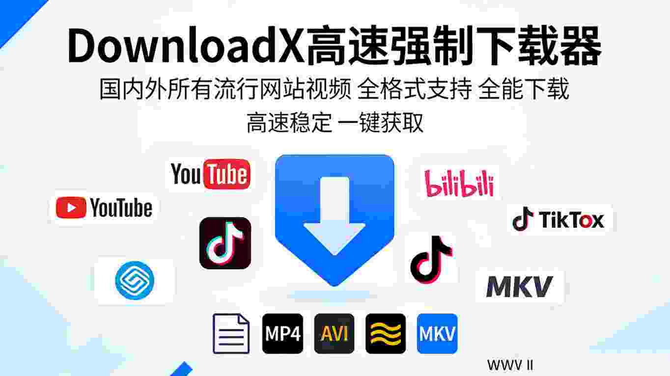 颠覆下载｜DownloadX 高速强制解析,国内外任意网站视频全能保存,羞羞网视频一键下载-zb博客